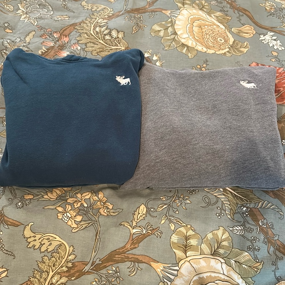 2 Abercrombie & Kids Hooded Sweatshirts Youth size 11/12
